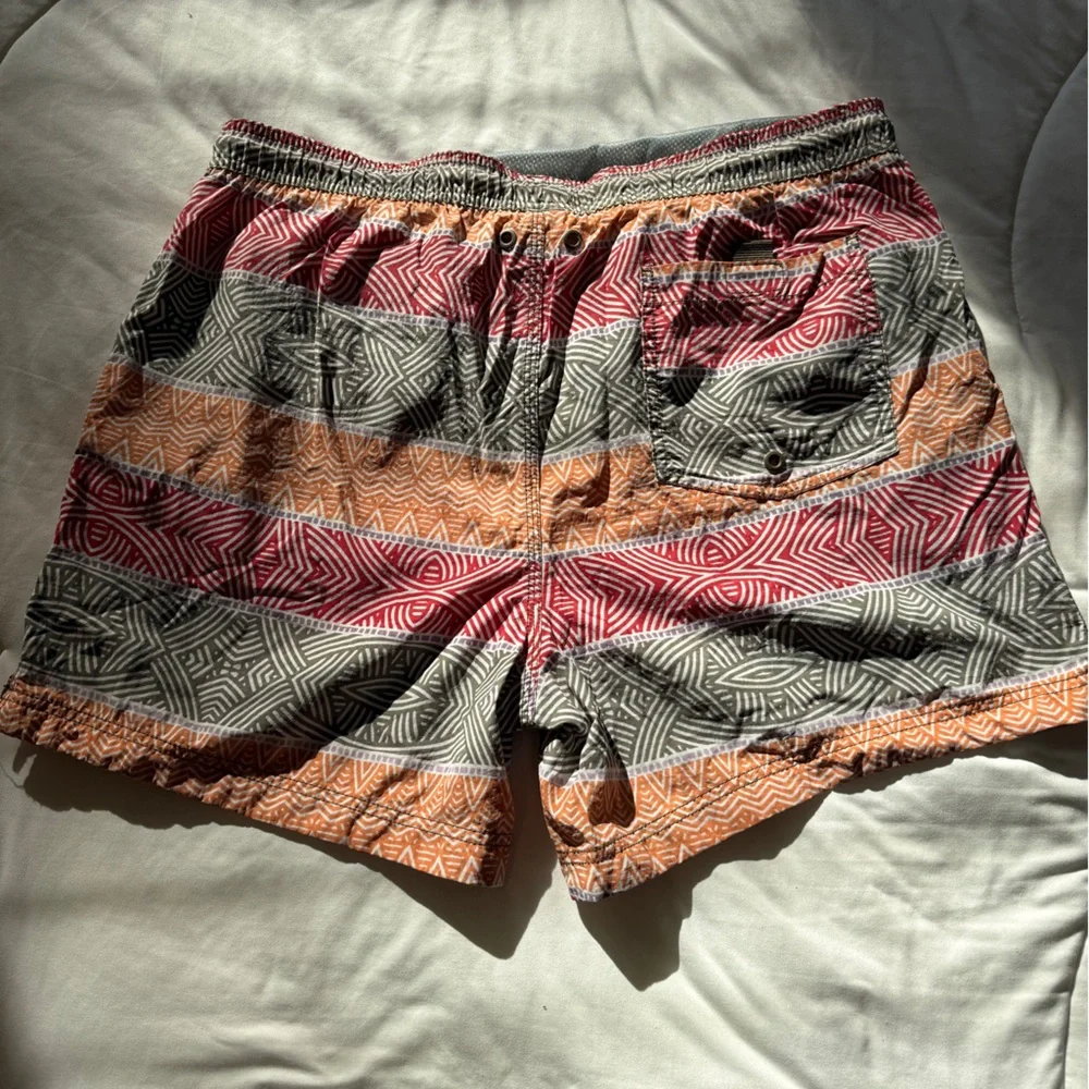 Speedo Men’s Multicolor Striped Athletic Shorts